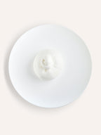 Figliata di Latte di Bufala Campana - Tenuta Agrilat