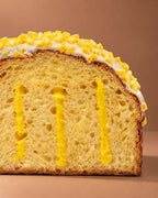 Panettone artigianale al limone con burro di bufala Tenuta Agrilat - la sezione, alveolatura e crema